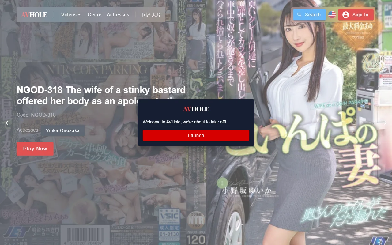 Screenshot: Avhole Website Review Screenshot of Avhole Website Review
